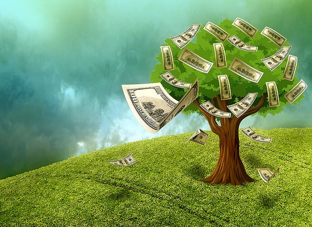 strom s penězi